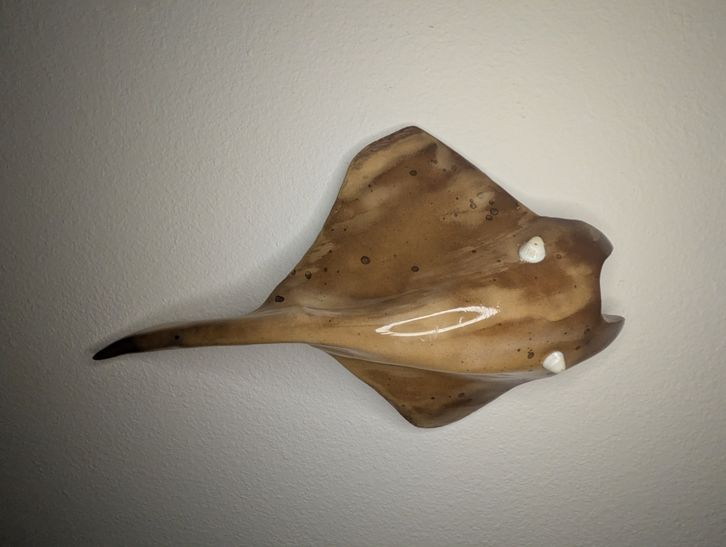 Coastal Sand Lazy Ray