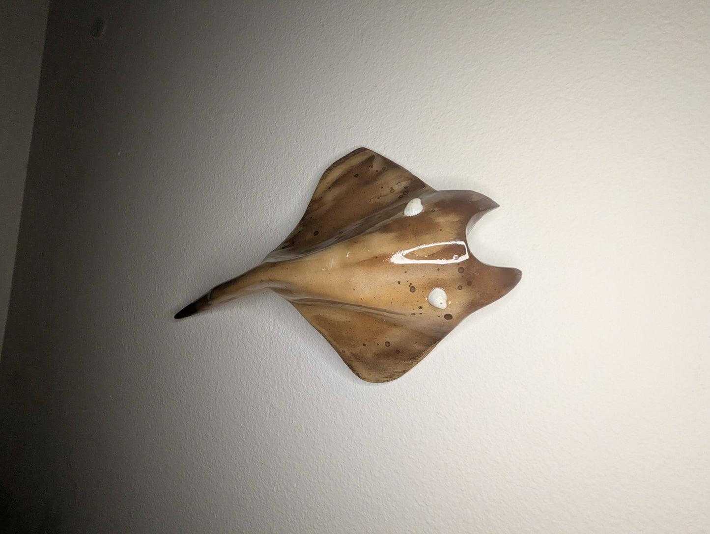 Coastal Sand Lazy Ray