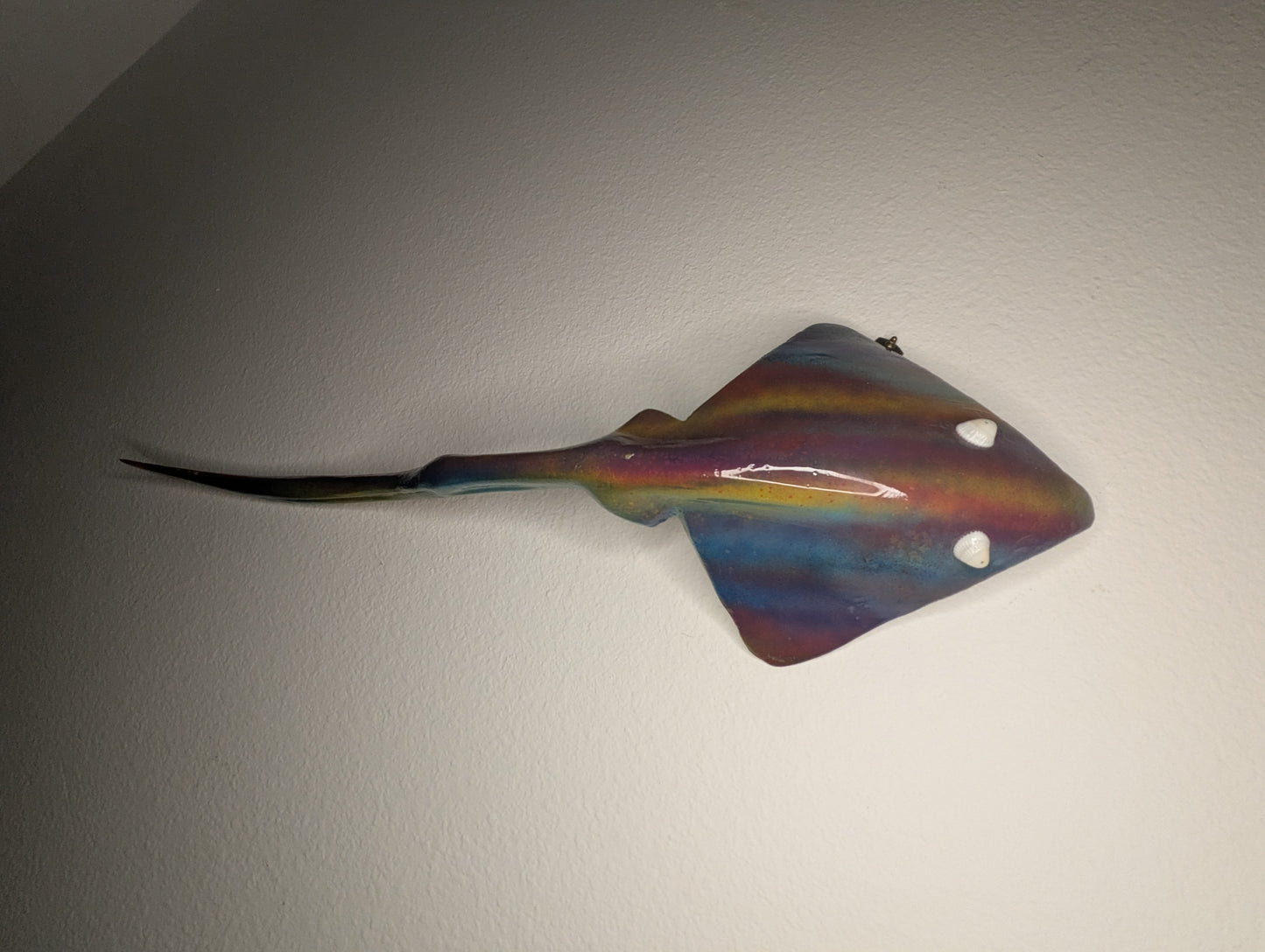 Oil Slick Lazy Ray