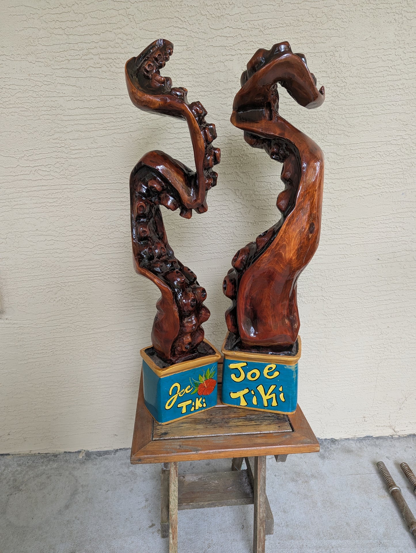 Octopus tentacle