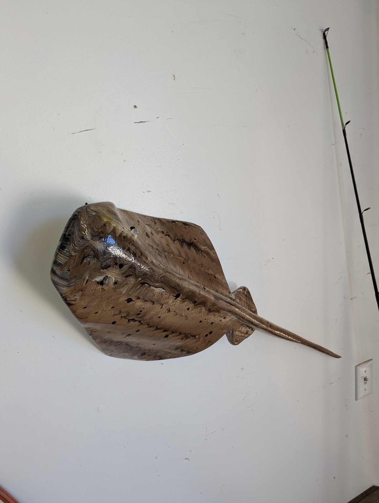 Rippled Sand Lazy Ray