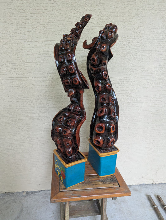 Octopus tentacle