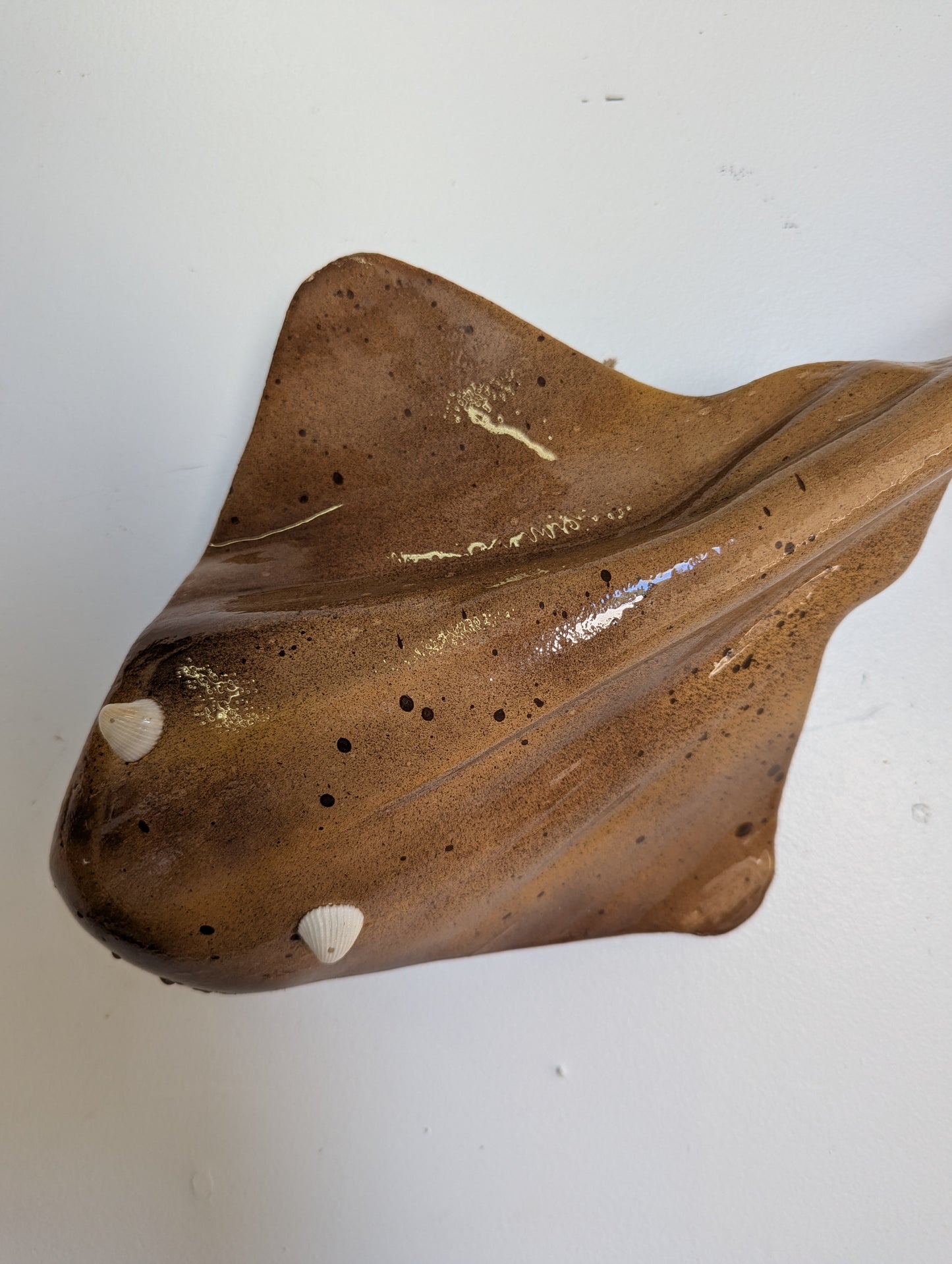 Bronze Lazy Ray